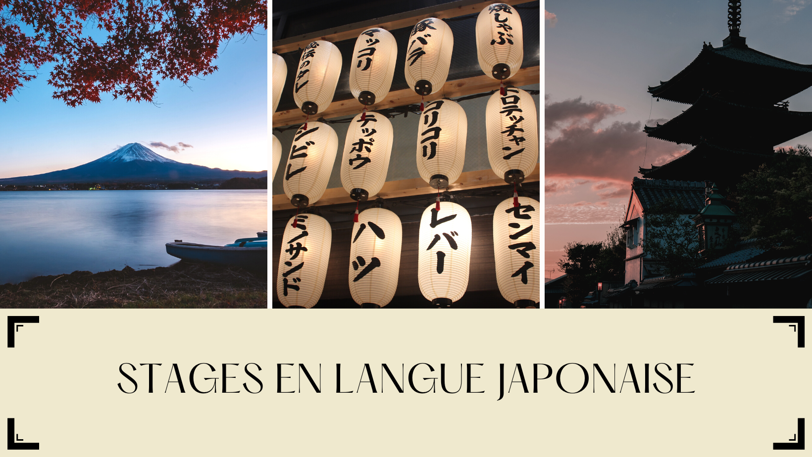 stages en langue japonaise