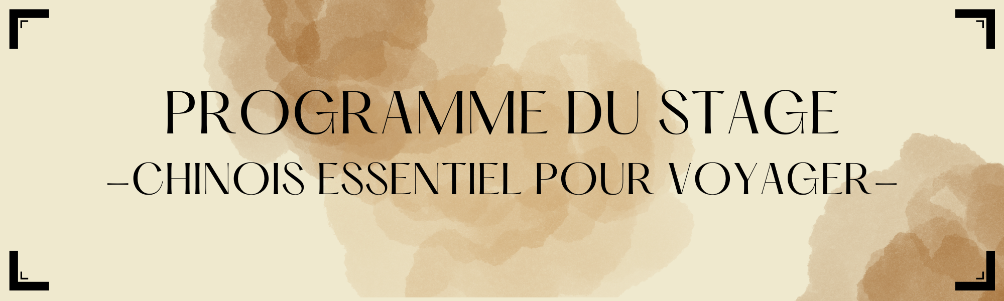 programme stage avancé