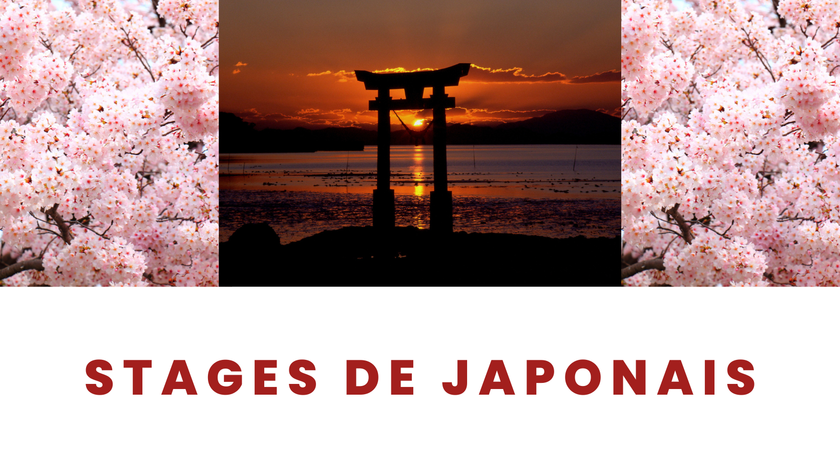 stage japonais