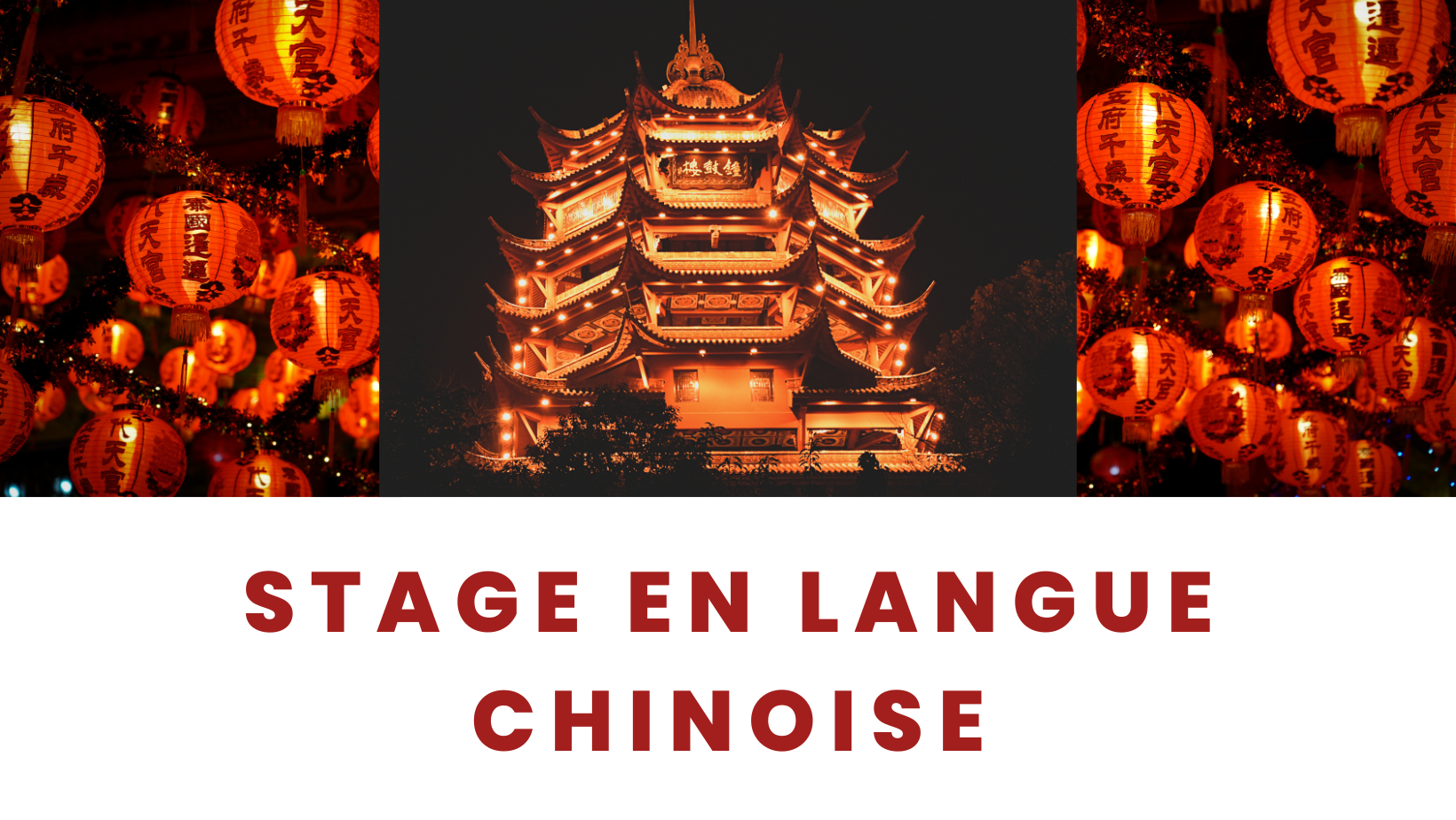 chinois adulte