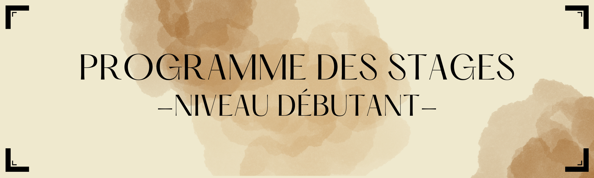 programme stage débutants