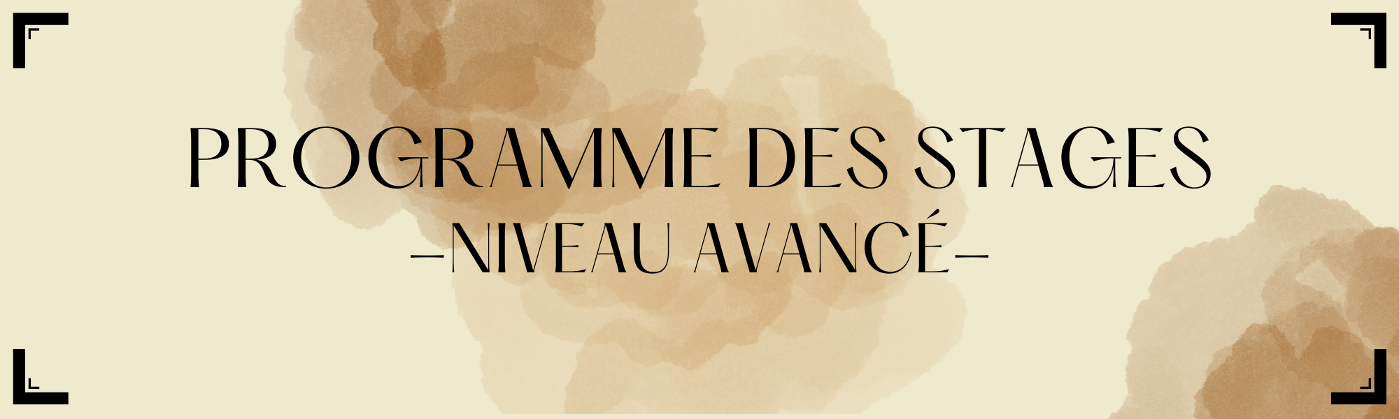 programme stage avancé